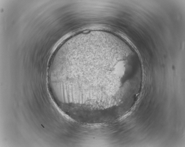 X0000052570853200507292004