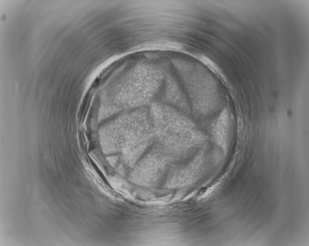 X0000052570854200507292004