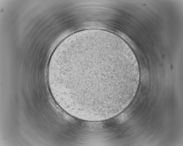 X0000052570856200507292004