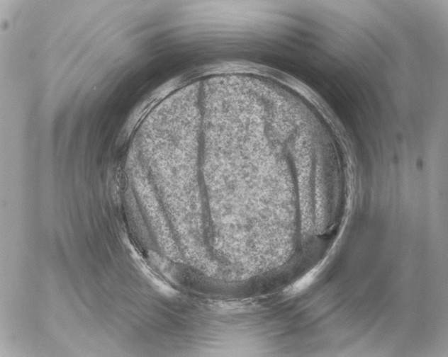 X0000052570857200507292004