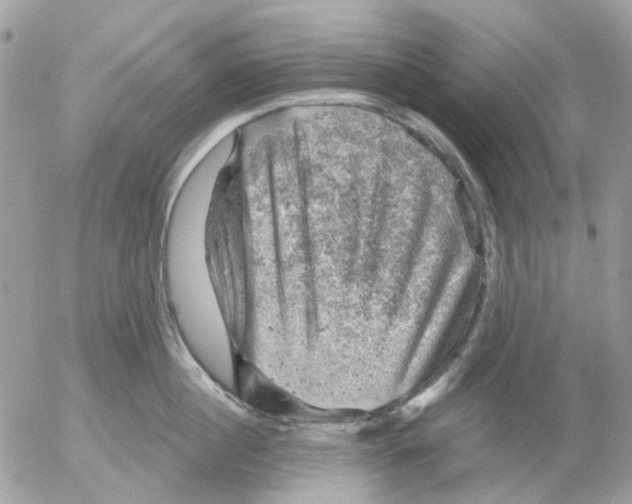 X0000052570860200507292004