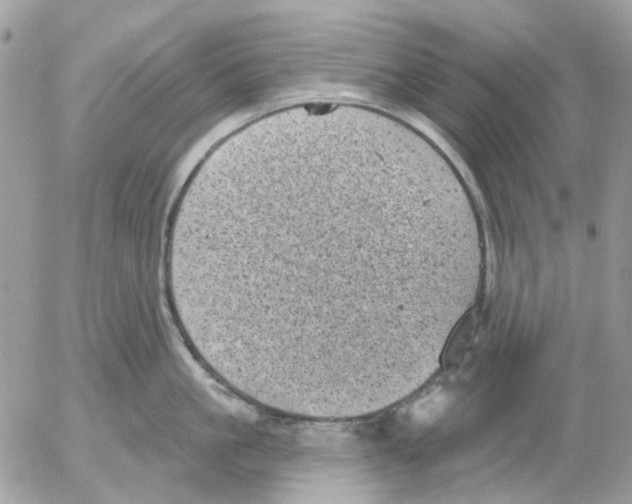 X0000052570861200507292004