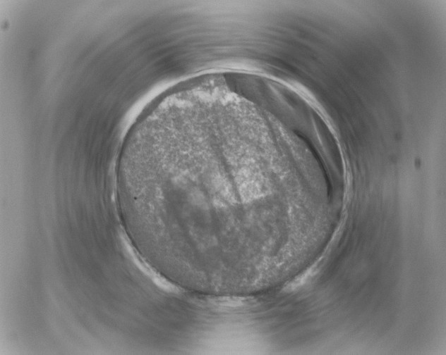 X0000052570862200507292004