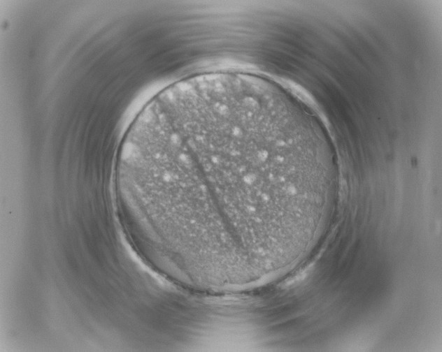 X0000052570863200507292005