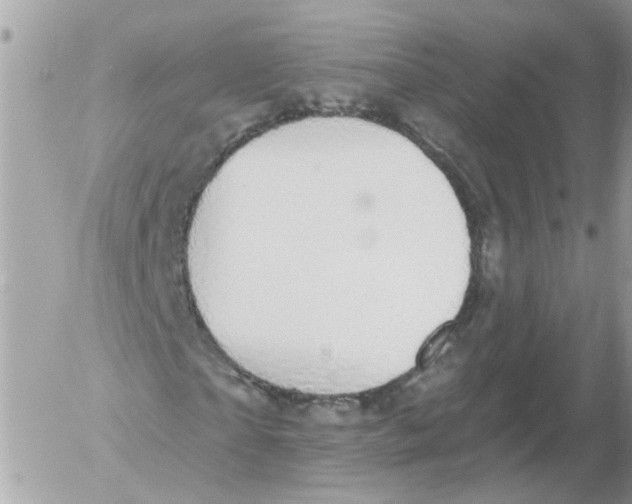 X0000052570865200507292004