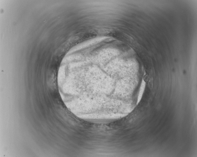 X0000052570866200507292004