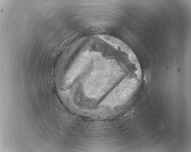 X0000052570867200507292004