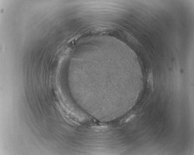 X0000052570868200507292004