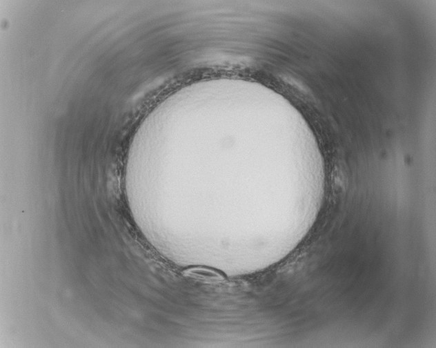 X0000052570869200507292004