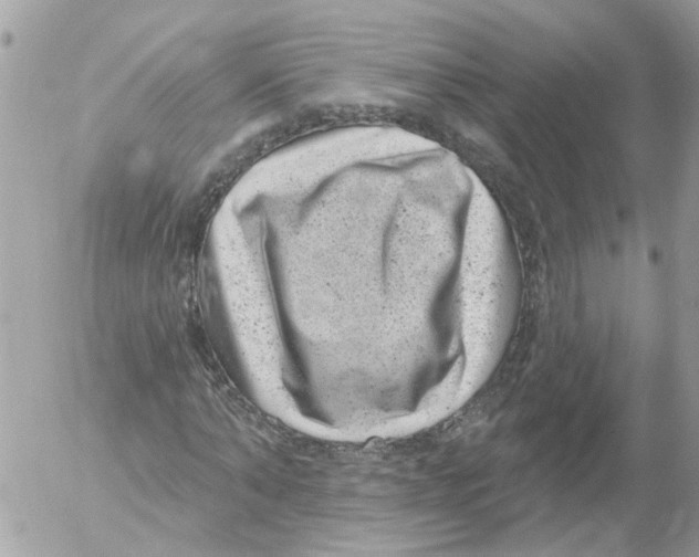 X0000052570870200507292004