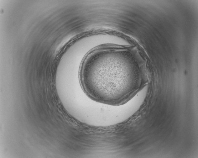 X0000052570871200507292004