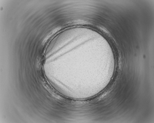 X0000052570873200507292004