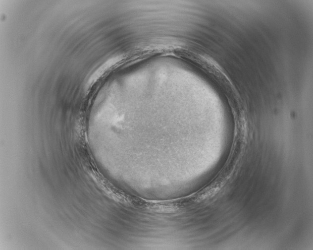 X0000052570874200507292004