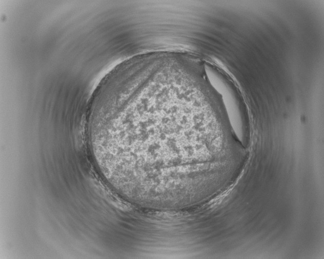 X0000052570875200507292004