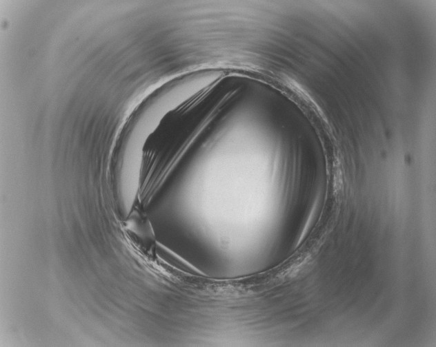 X0000052570876200507292004