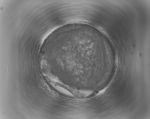 X0000052570877200507292004