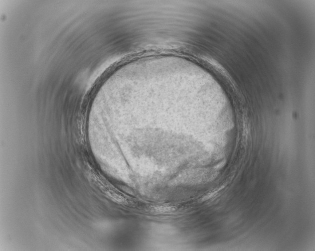 X0000052570878200507292004