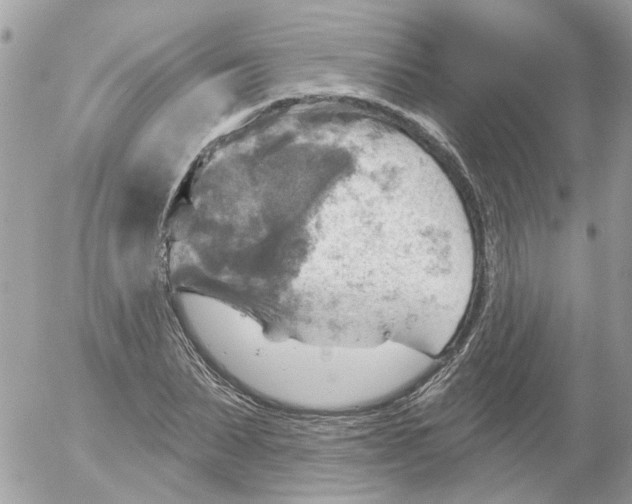 X0000052570879200507292004