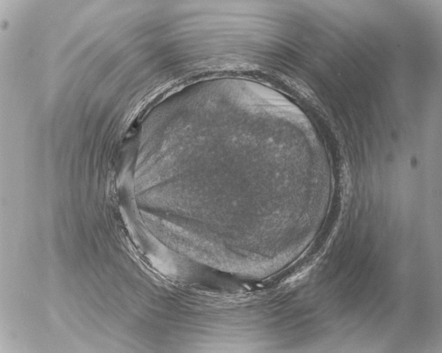 X0000052570881200507292003