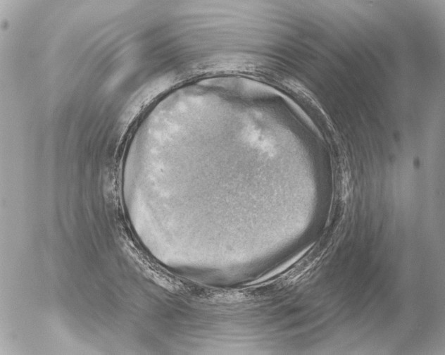 X0000052570882200507292003