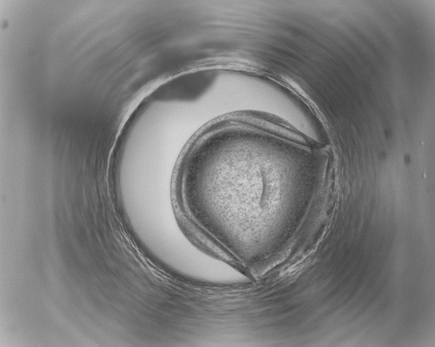 X0000052570883200507292003