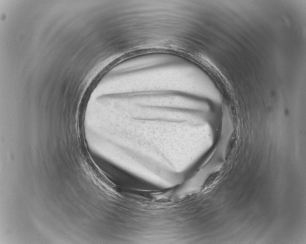 X0000052570884200507292003