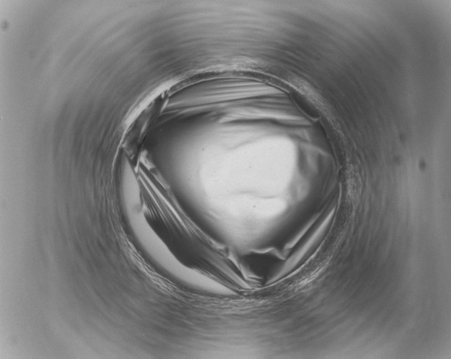 X0000052570885200507292003