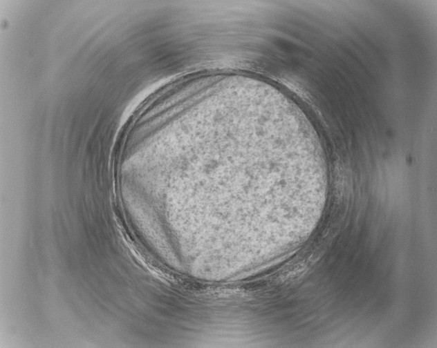 X0000052570886200507292003