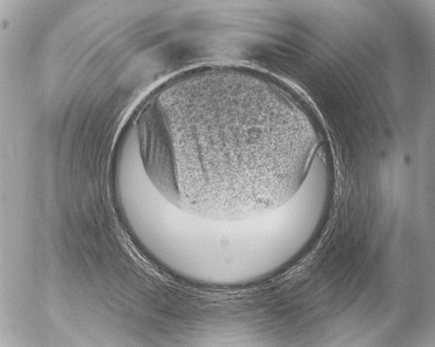 X0000052570887200507292003