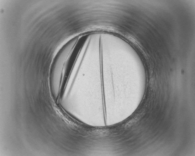 X0000052570888200507292003