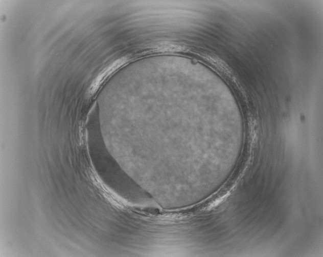 X0000052570889200507292003