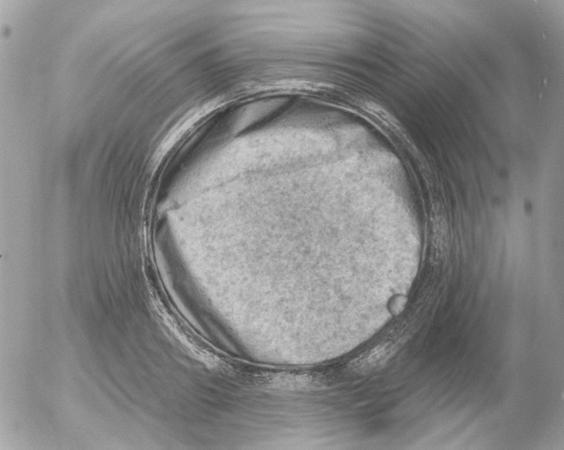 X0000052570890200507292003