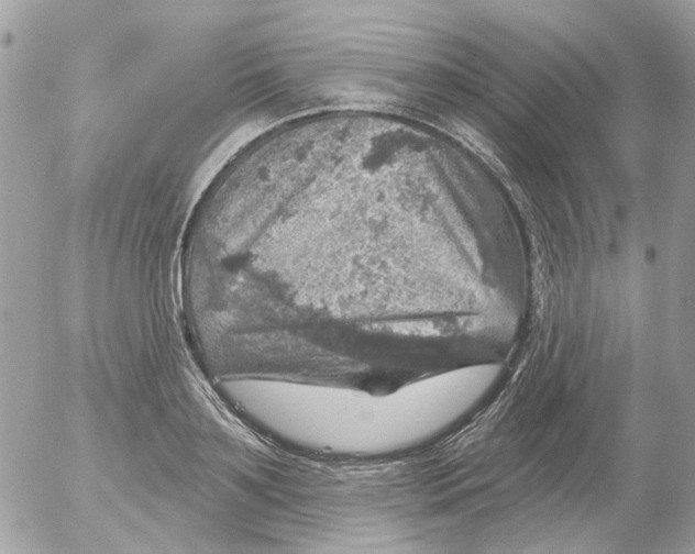 X0000052570891200507292003