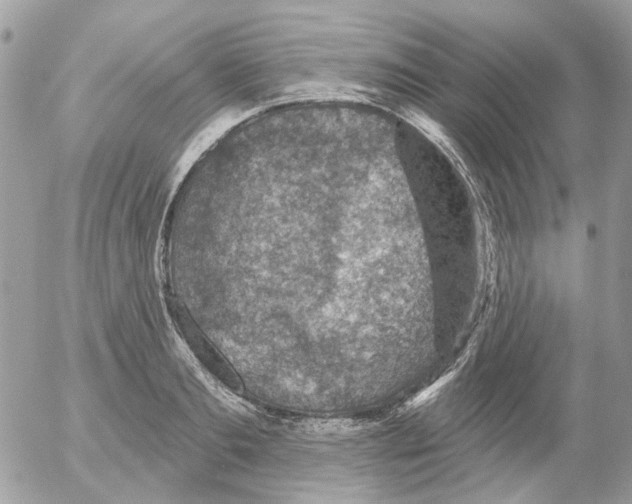 X0000052570893200507292003