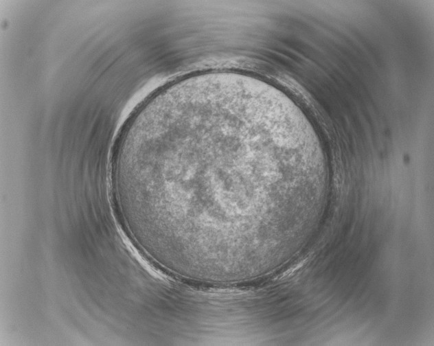 X0000052570894200507292003