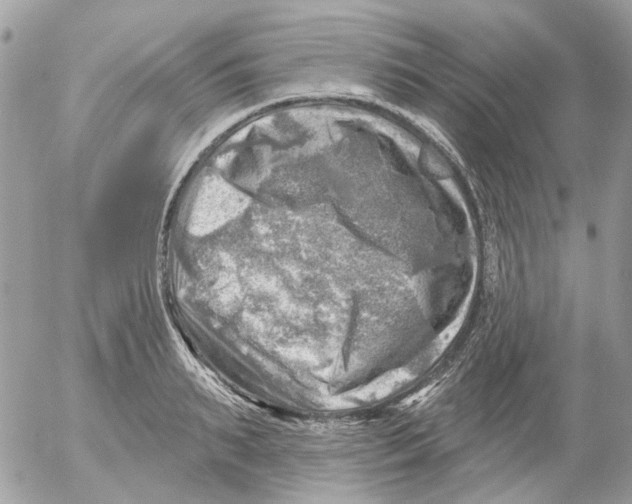 X0000052570895200507292003