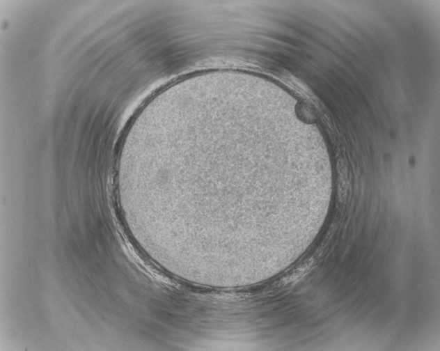 X0000052570896200507292003