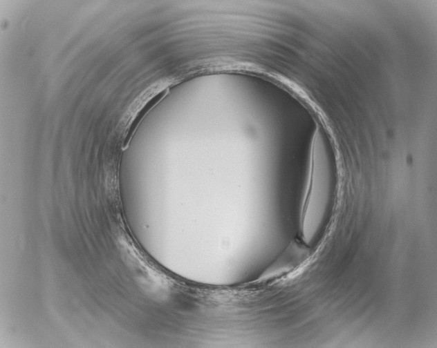 X0000052570897200507292003