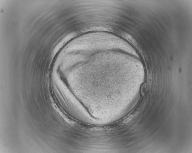 X0000052570898200507292003