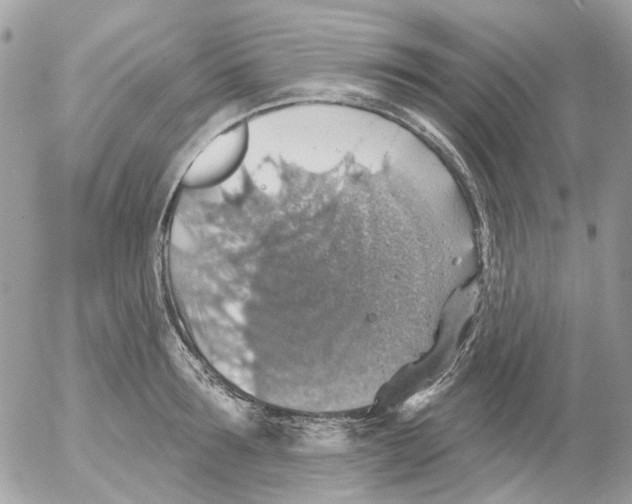 X0000052570899200507292003