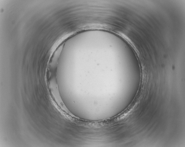 X0000052570901200507292003