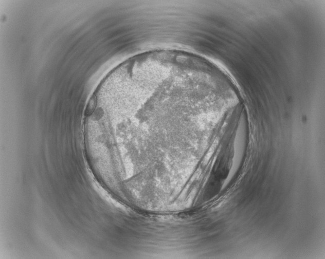 X0000052570903200507292003