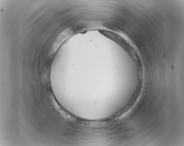 X0000052570905200507292003