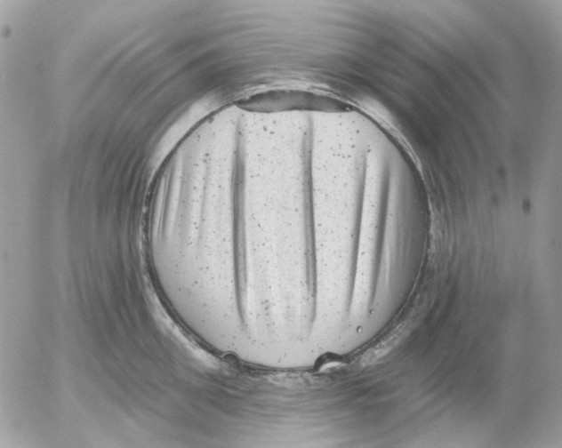 X0000052570906200507292003