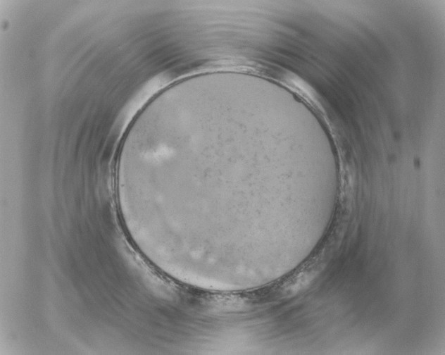 X0000052570907200507292003