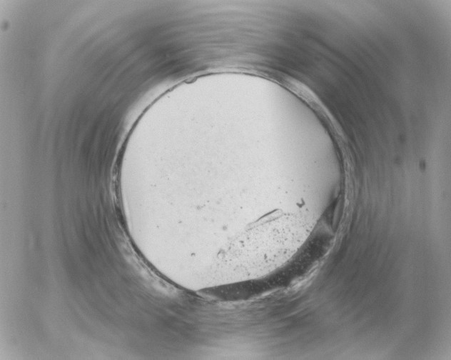 X0000052570908200507292003