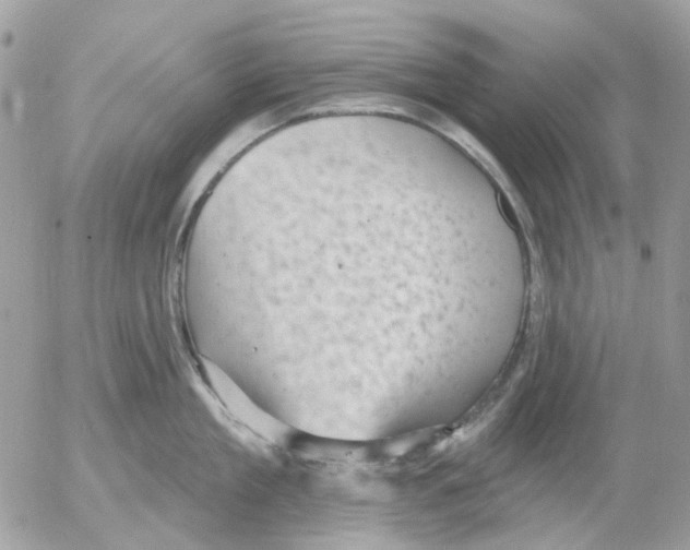 X0000052570909200507292003