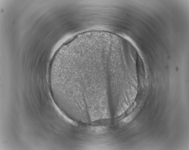 X0000052570910200507292003