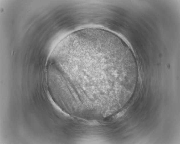 X0000052570911200507292003