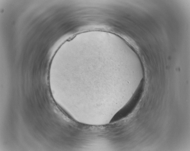 X0000052570912200507292003